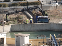 IU Lorca exige una “rendición de cuentas” a la CHS por los vertidos, la degradación de los ríos y la tala de árboles en San Diego El eucalipto de gran porte talado en la zona de la Casamata, en el barrio lorquino de San Diego, una de las actuaciones que IU reclama esclarecer ante la CHS | Foto.- IU Lorca