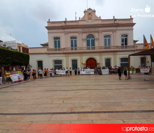 Animalistas vuelven a concentrarse en Alfafar para exigir la prohibición de los actos taurinos Los participantes desplegaron pancartas frente al consistorio para denunciar el uso de animales en los festejos populares y reclamar un cambio en las políticas municipales | Foto.- Plataforma Defensa Animal