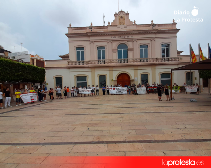 Los participantes desplegaron pancartas frente al consistorio para denunciar el uso de animales en los festejos populares y reclamar un cambio en las políticas municipales | Foto.- Plataforma Defensa Animal Los participantes desplegaron pancartas frente al consistorio para denunciar el uso de animales en los festejos populares y reclamar un cambio en las políticas municipales | Foto.- Plataforma Defensa Animal