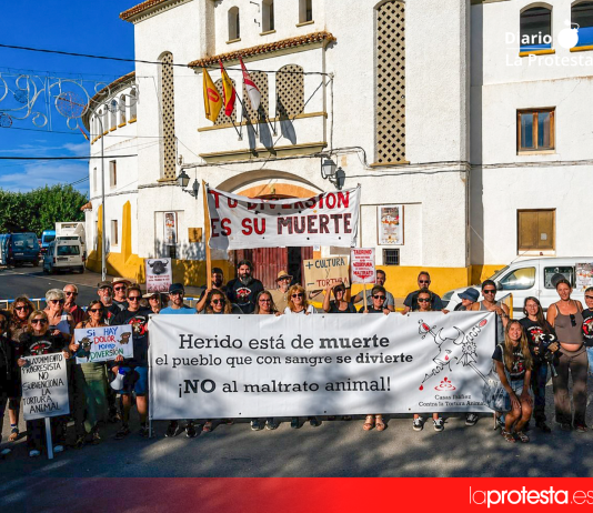 Las activistas de Casas Ibáñez denuncian los 23.000 euros públicos para la tauromaquia: «No queremos que una plaza construida por todo el pueblo siga vinculada a la tortura animal»