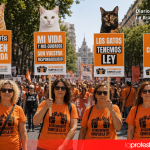 Foto.- losgatostienenley.org