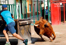 Piden al Ayuntamiento de Tírig que no vuelva a hacer festejos taurinos tras la muerte de un joven Imagen de archivo de un festejo taurino en la Comunidad Valenciana | Foto: Plataforma Defensa Animal.