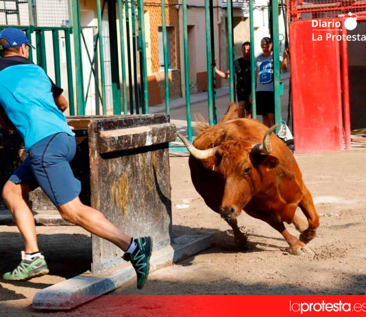 Piden al Ayuntamiento de Tírig que no vuelva a hacer festejos taurinos tras la muerte de un joven Imagen de archivo de un festejo taurino en la Comunidad Valenciana | Foto: Plataforma Defensa Animal.