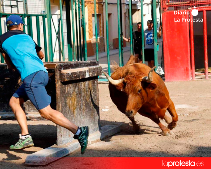 Imagen de archivo de un festejo taurino en la Comunidad Valenciana | Foto: Plataforma Defensa Animal. Imagen de archivo de un festejo taurino en la Comunidad Valenciana | Foto: Plataforma Defensa Animal.