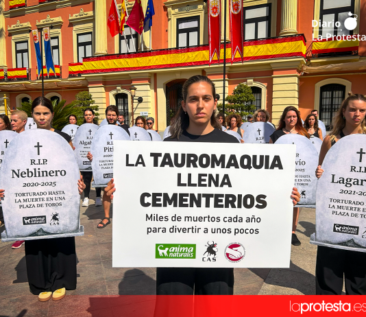 Participantes en la concentración sostuvieron las lápidas durante la acción celebrada este domingo frente al Ayuntamiento de Murcia | Foto.- Dominic D. Skerrett