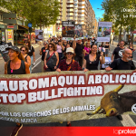 Cerca de medio millar de personas recorren Murcia contra la tauromaquia: «No más violencia hacia los animales» La movilización antitaurina avanzó por la Gran Vía de Murcia con pancartas y consignas contra la tauromaquia y la violencia hacia los animales | Foto.- Dominic D. Skerrett
