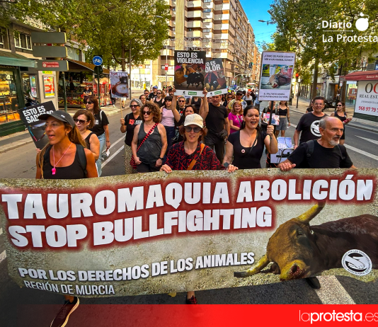 La movilización antitaurina avanzó por la Gran Vía de Murcia con pancartas y consignas contra la tauromaquia y la violencia hacia los animales | Foto.- Dominic D. Skerrett