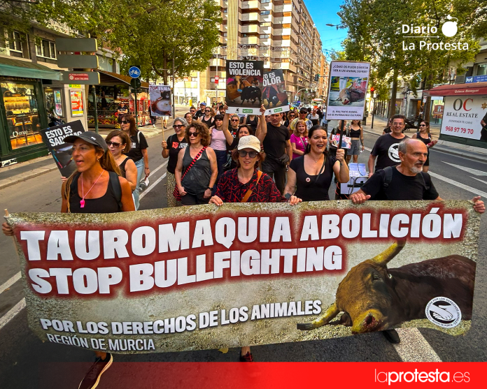 La movilización antitaurina avanzó por la Gran Vía de Murcia con pancartas y consignas contra la tauromaquia y la violencia hacia los animales | Foto.- Dominic D. Skerrett La movilización antitaurina avanzó por la Gran Vía de Murcia con pancartas y consignas contra la tauromaquia y la violencia hacia los animales | Foto.- Dominic D. Skerrett