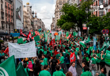 Arranca la huelga indefinida del profesorado y el estudiantado de Madrid contra el deterioro de la educación pública Imagen de archivo de una manifestación por la educación pública en Madrid.